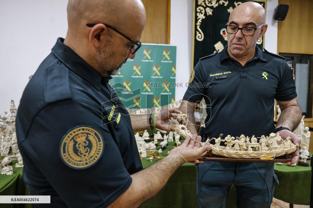 Civil Guard Highlights Major Ivory Seizure in Spain