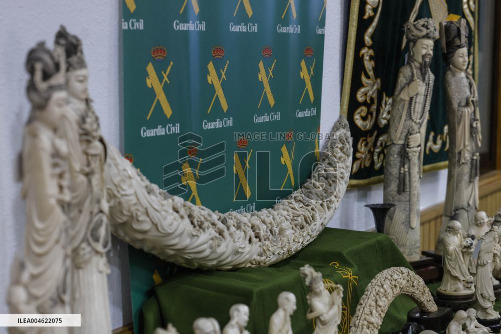 Civil Guard Highlights Major Ivory Seizure in Spain