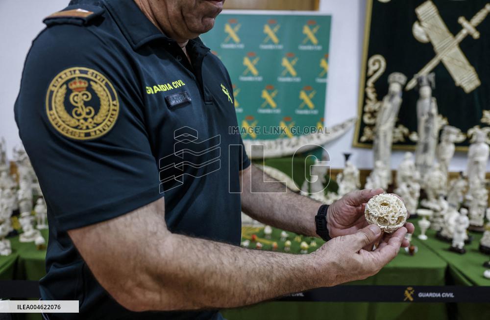 Civil Guard Highlights Major Ivory Seizure in Spain