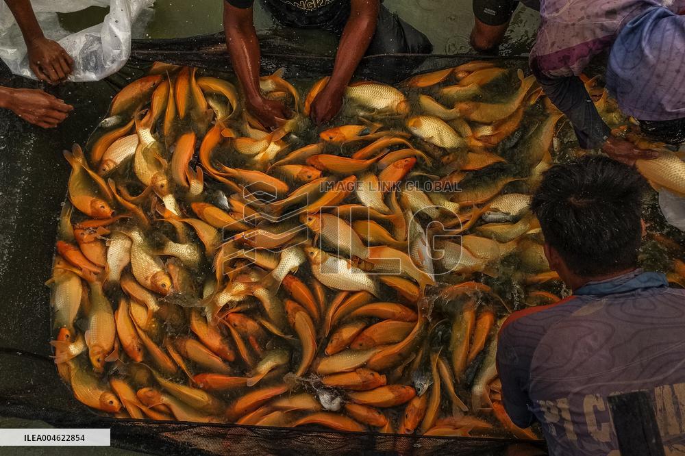 The Merah Putih Spirit's - Indonesia