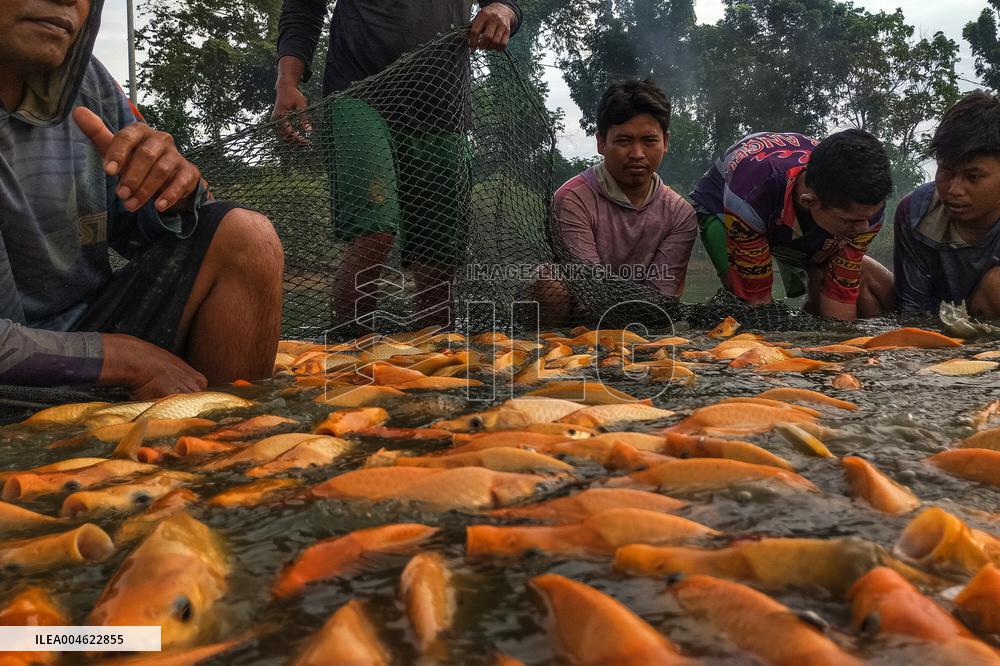 The Merah Putih Spirit's - Indonesia