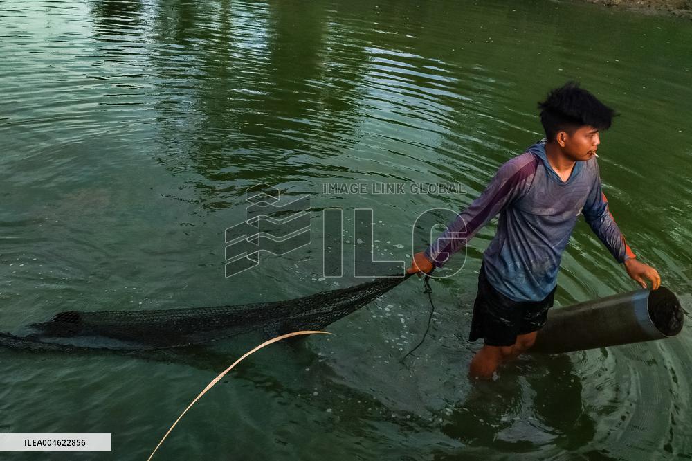 The Merah Putih Spirit's - Indonesia