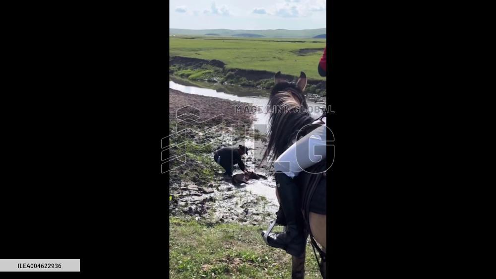 China: Foal Rescued from Mud Pit in Hulunbuir, Inner Mongolia