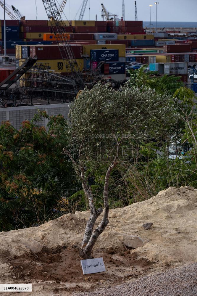 Protesters and Victims Families Mark 5th Anniversary of Port Blast - Beirut