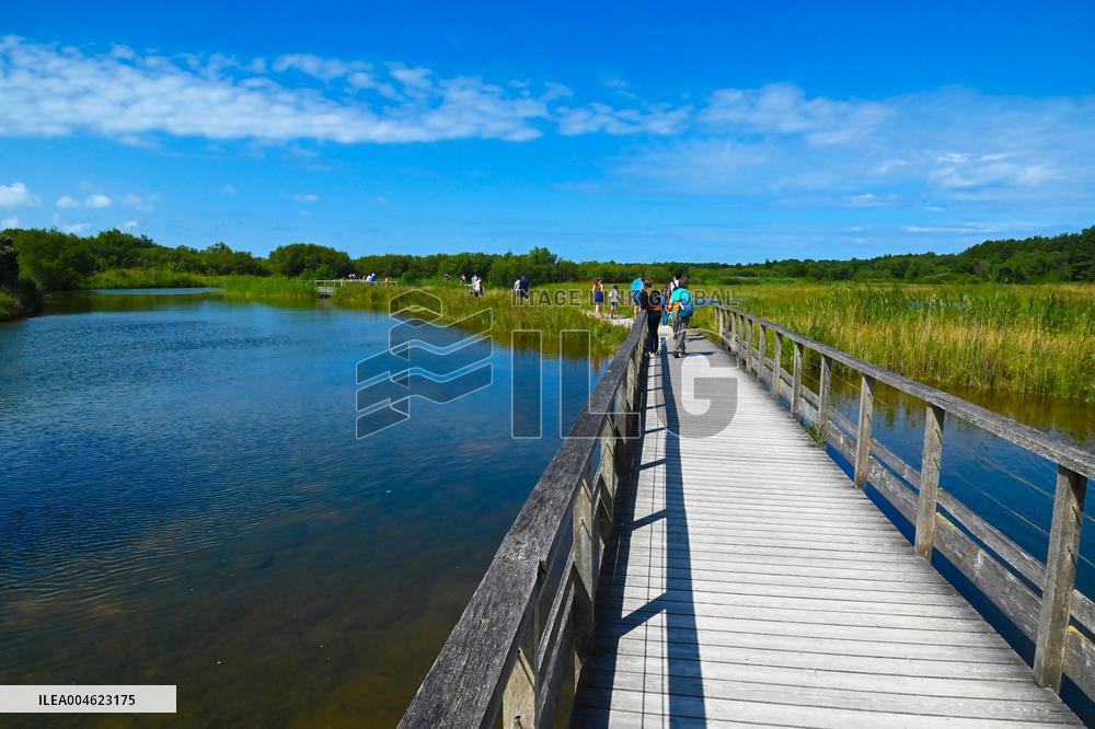 Illustration - Baie de Somme