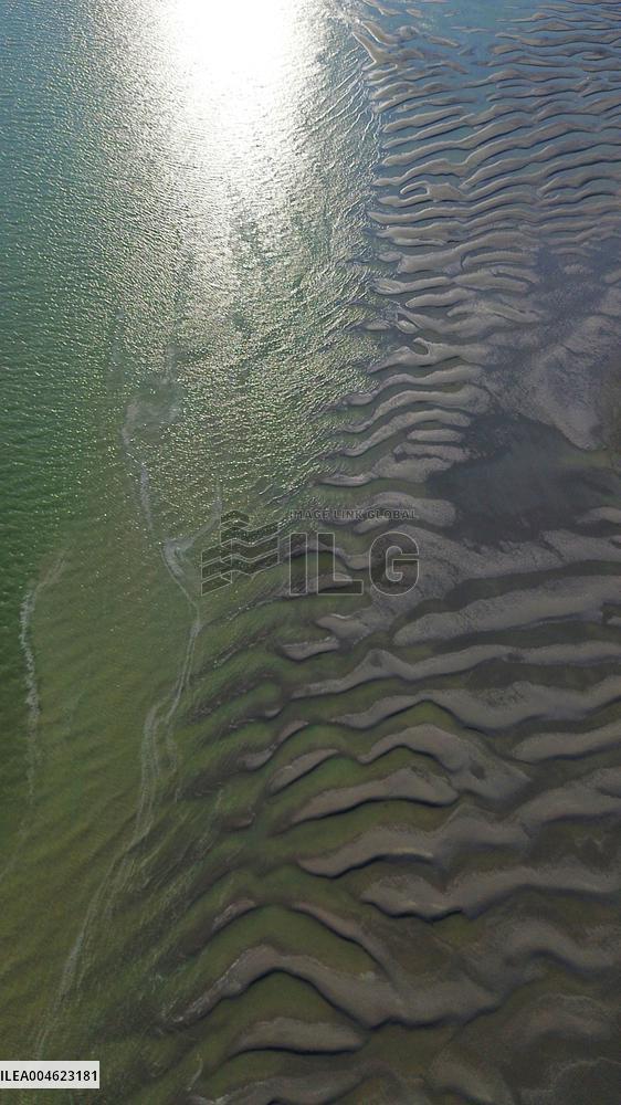 Illustration - Baie de Somme