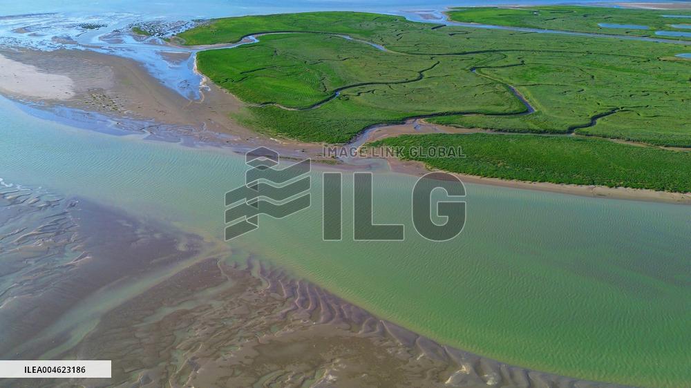 Illustration - Baie de Somme