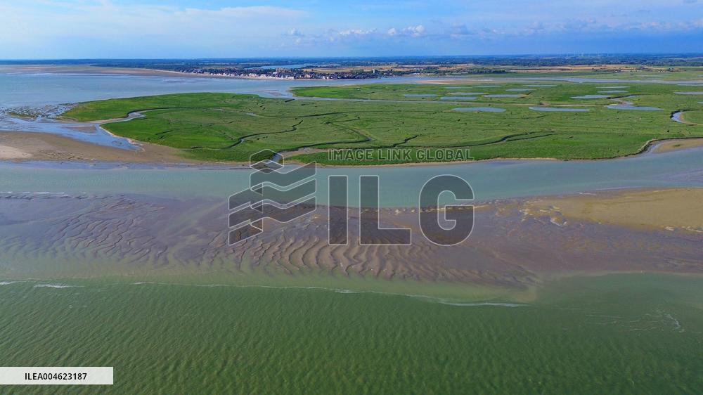 Illustration - Baie de Somme