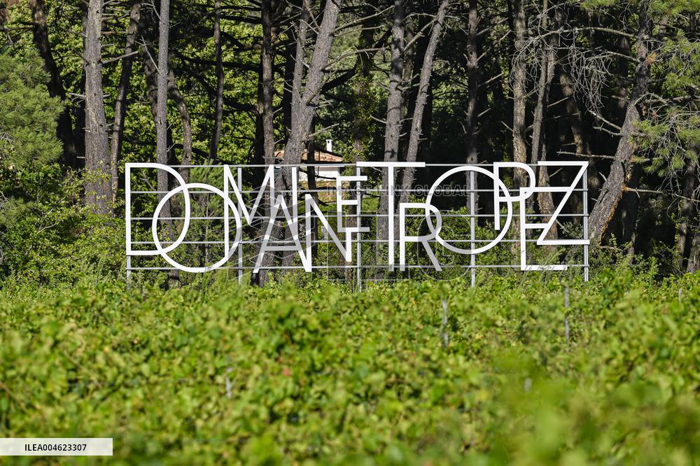 Saint Tropez Illustrations - France