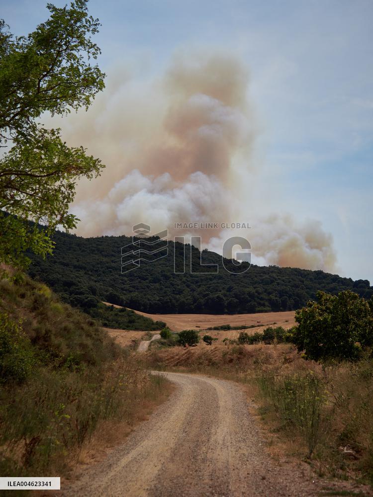 Wildfires in Navarre - Spain