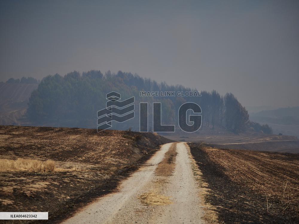 Wildfires in Navarre - Spain