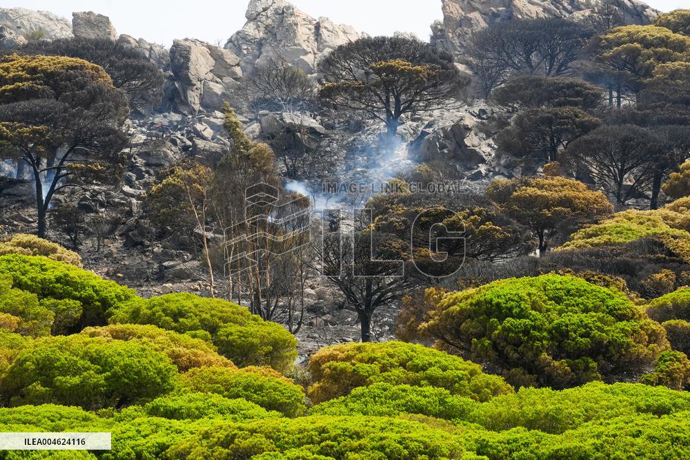 Infoca Battles Tarifa Fire with Over 100 Troops - Spain