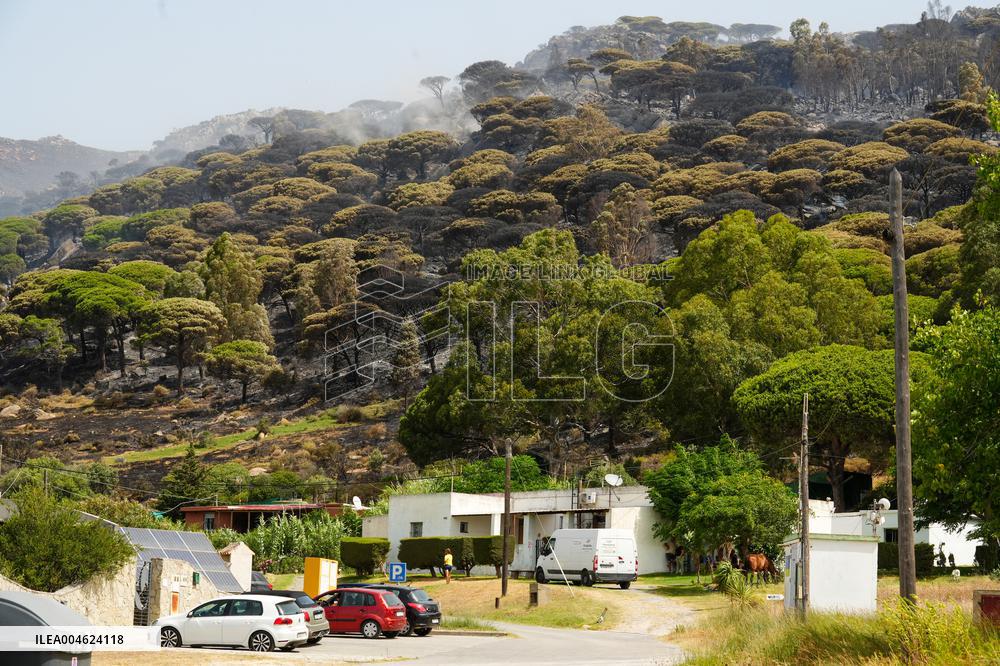 Infoca Battles Tarifa Fire with Over 100 Troops - Spain