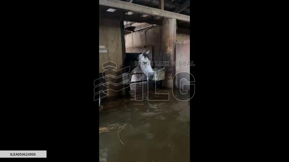 Japan: Racehorses Trapped in Floodwater as Record Rainfall Hits Hokuriku