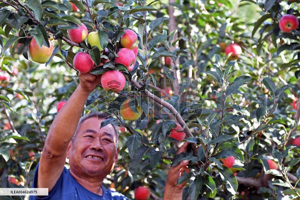 Beginning of Autumn Agriculture