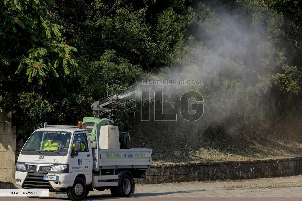 Italy on Alert as West Nile Virus Cases Rise - Naples