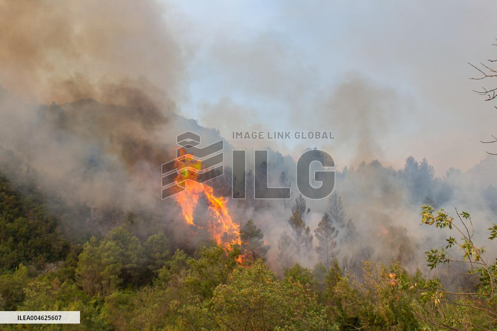 France Battles Largest Wildfire in Decades