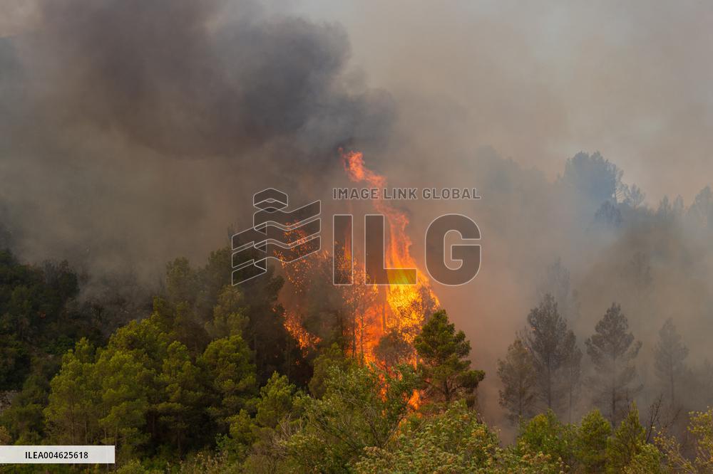 France Battles Largest Wildfire in Decades