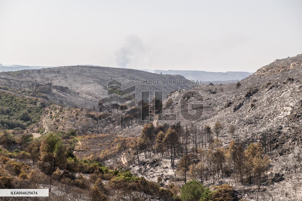 Aftermath of the huge fire in the Corbières Aude - France