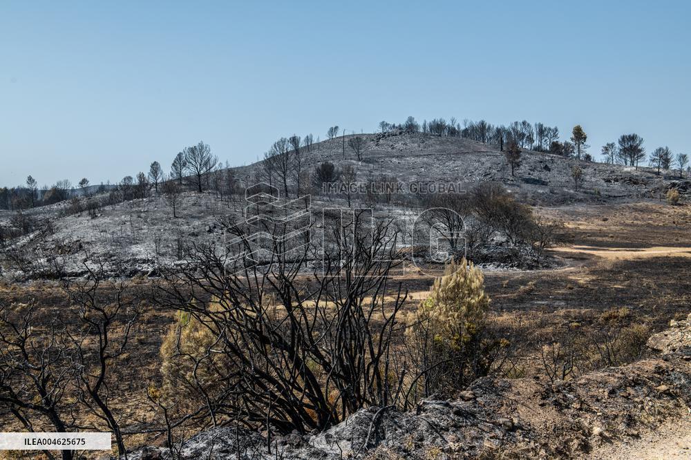 Aftermath of the huge fire in the Corbières Aude - France