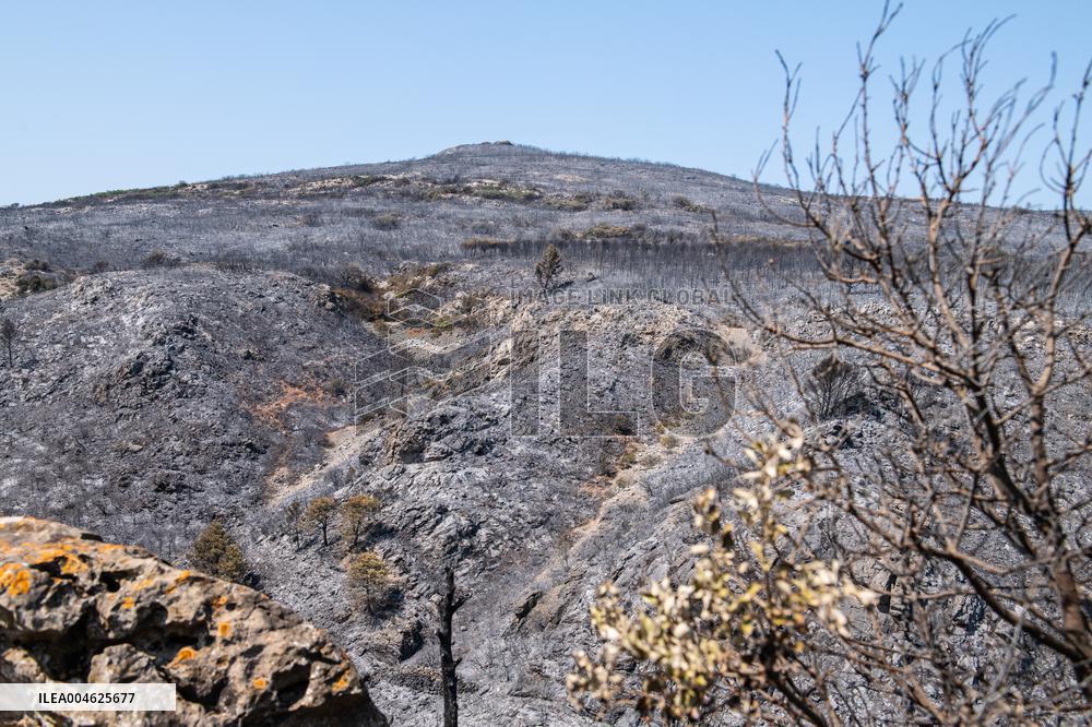 Aftermath of the huge fire in the Corbières Aude - France