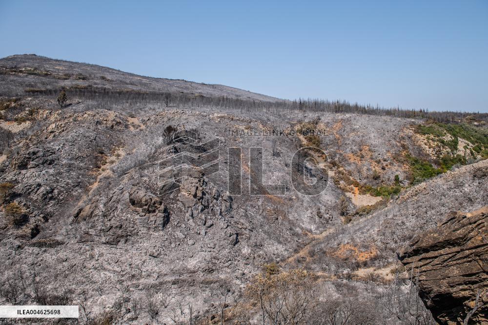 Aftermath of the huge fire in the Corbières Aude - France