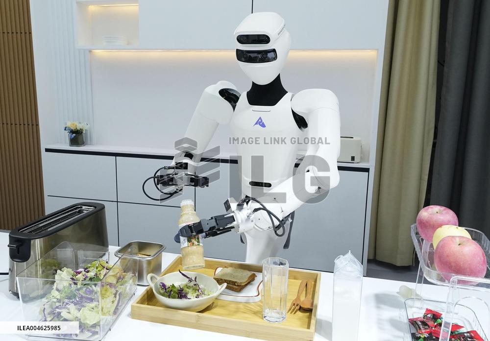 Robot conference in Beijing