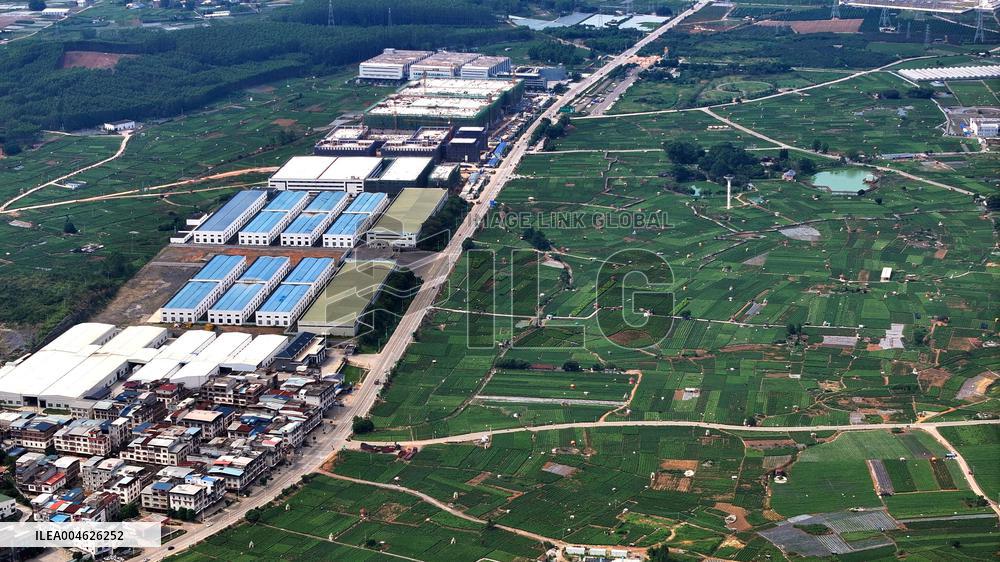 Jasmine Flower Industry in Guangxi - China