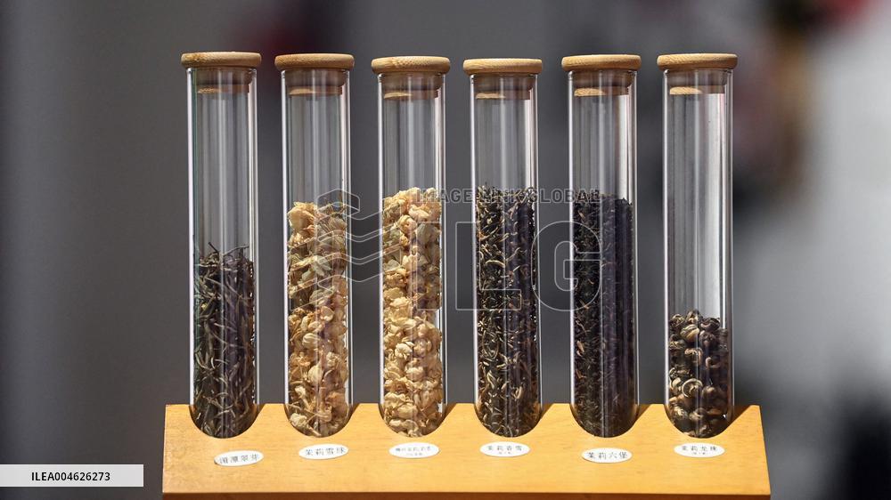 Jasmine Flower Industry in Guangxi - China