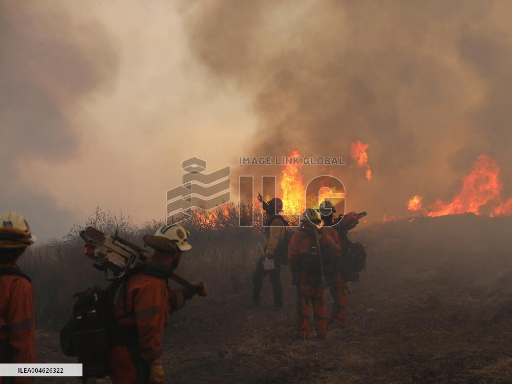 Wildfire in Ventura California - USA