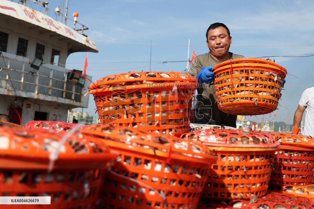Zhoushan International Aquatic Swimming Crabs Harvest