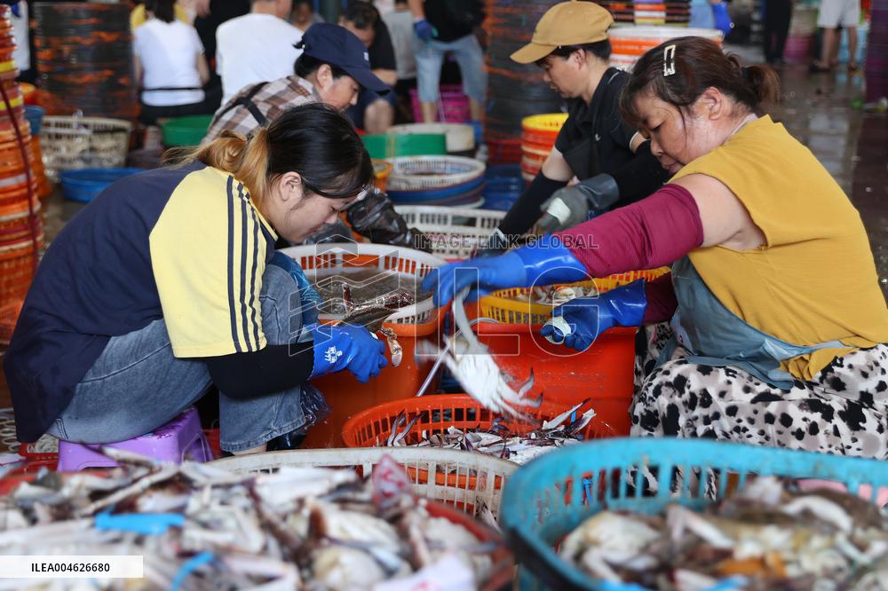 Zhoushan International Aquatic Swimming Crabs Harvest