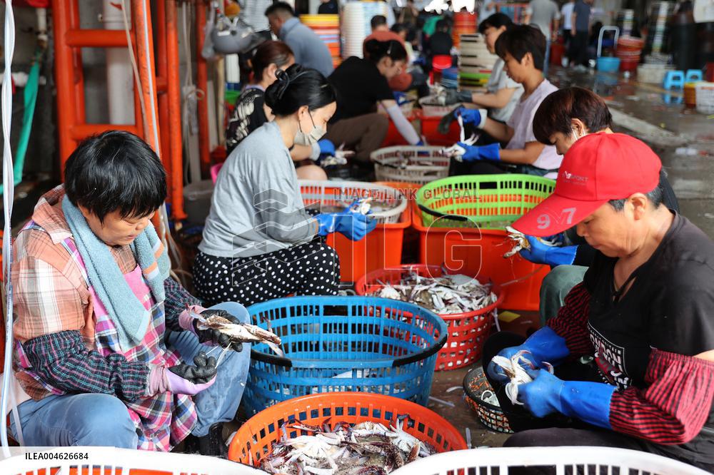Zhoushan International Aquatic Swimming Crabs Harvest