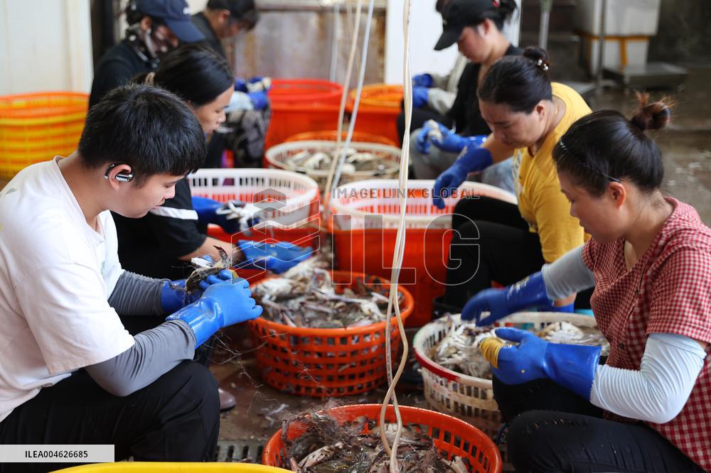 Zhoushan International Aquatic Swimming Crabs Harvest