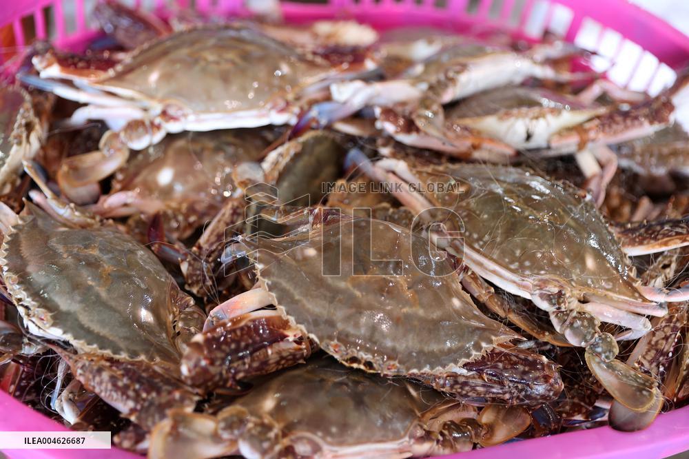 Zhoushan International Aquatic Swimming Crabs Harvest