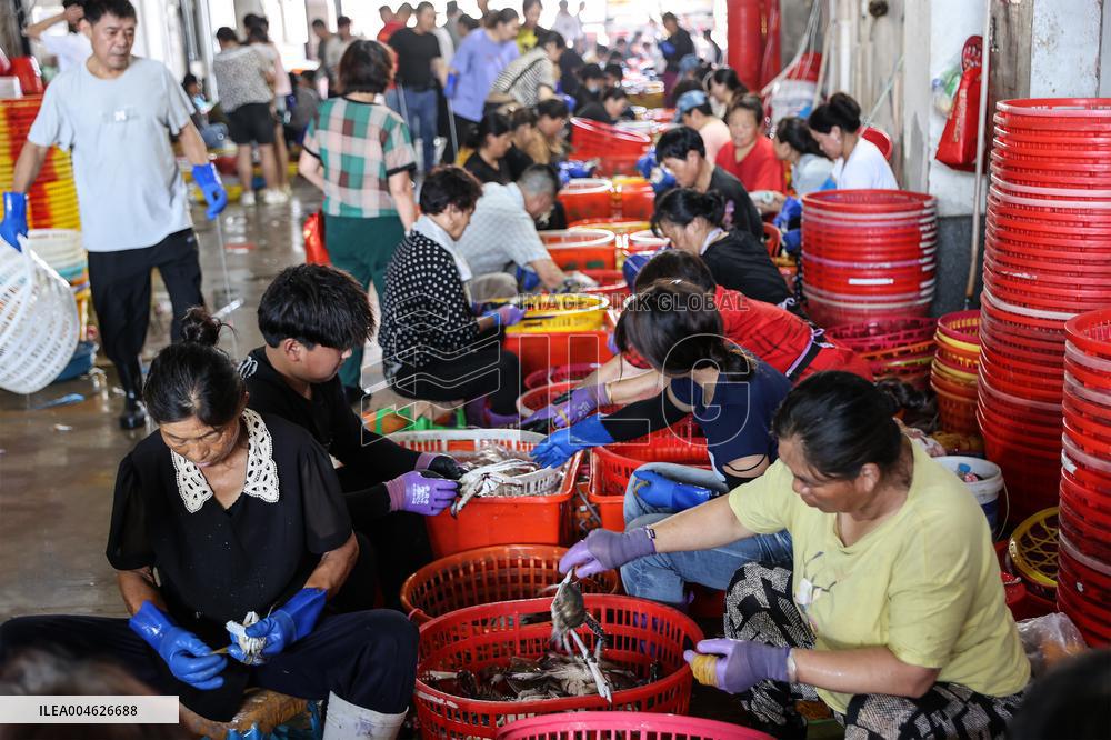 Zhoushan International Aquatic Swimming Crabs Harvest