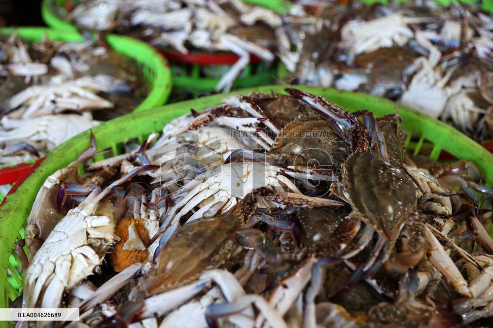 Zhoushan International Aquatic Swimming Crabs Harvest