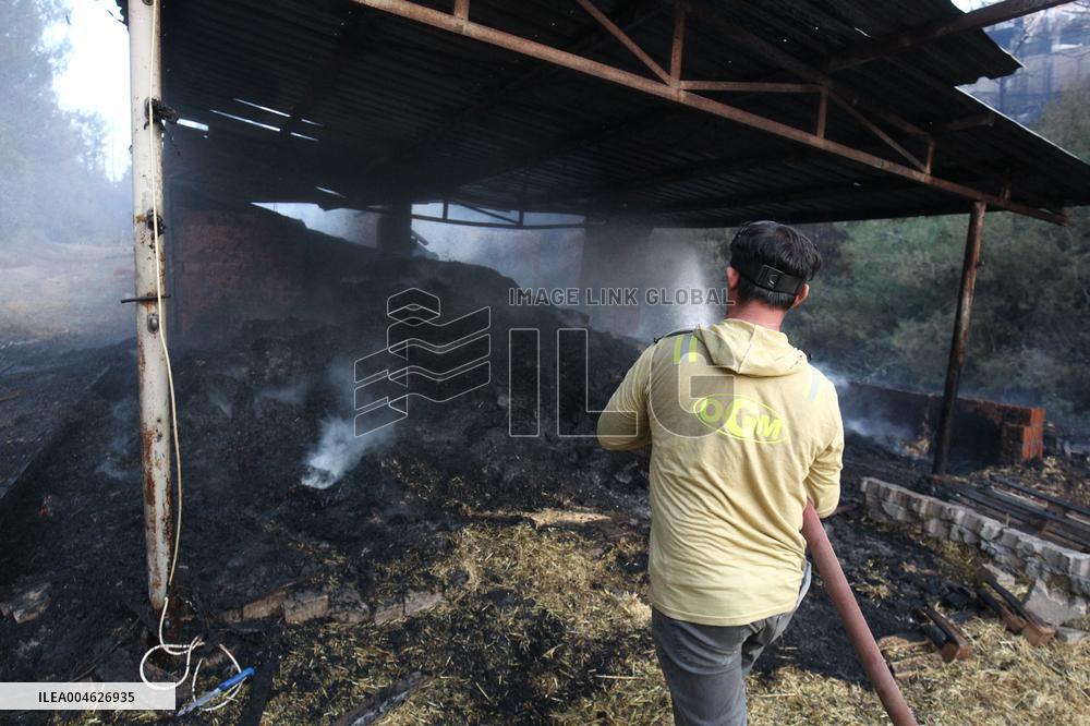 Wildfires in Canakkale - Turkey