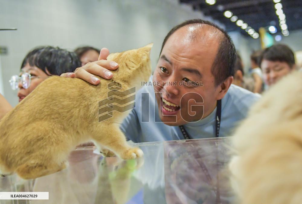 Nanning Pet Expo