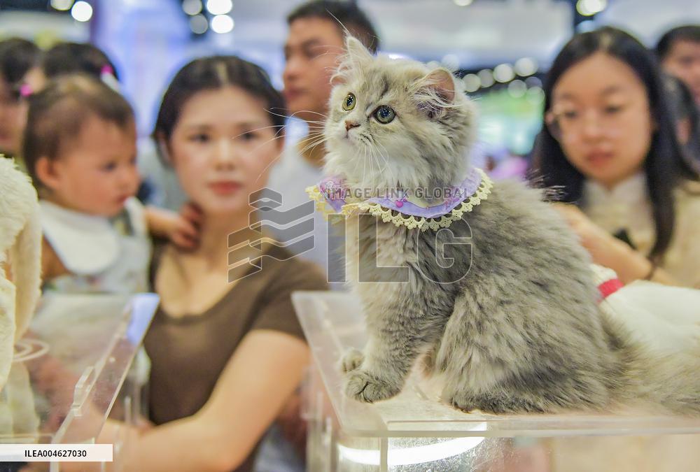 Nanning Pet Expo