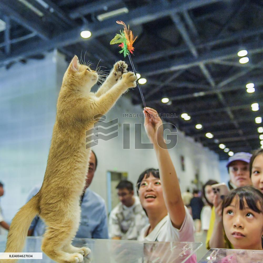 Nanning Pet Expo