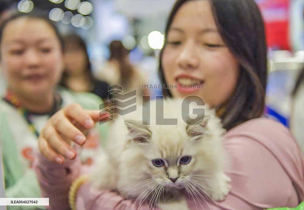 Nanning Pet Expo