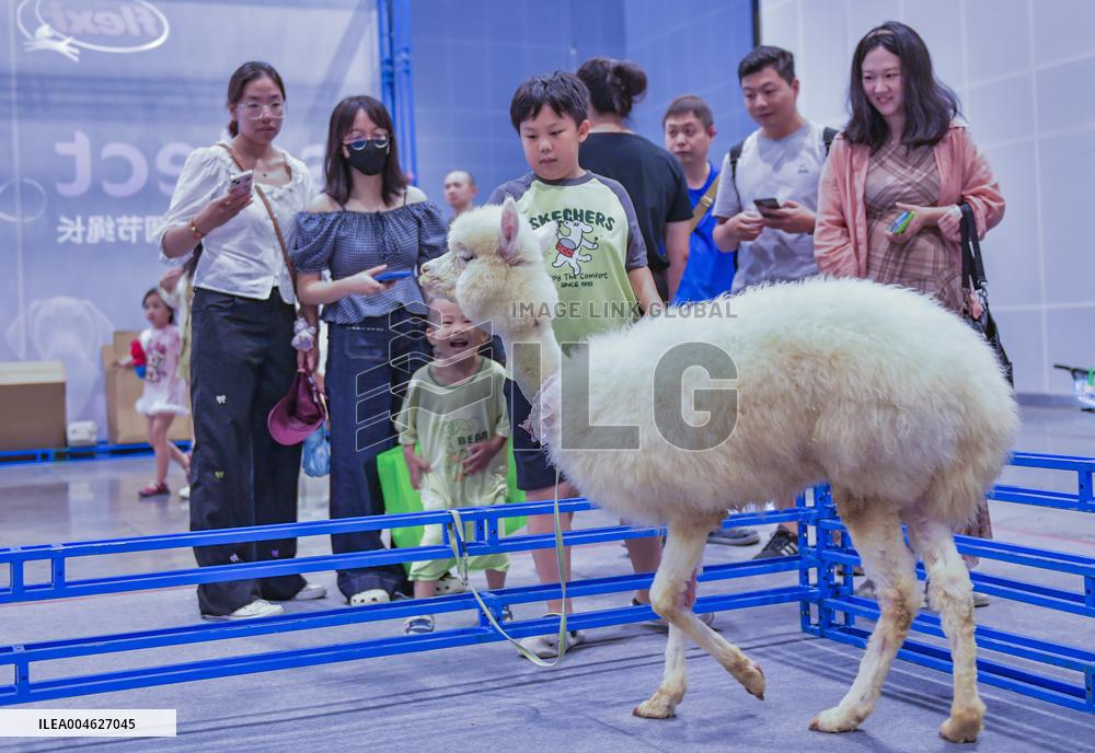 Nanning Pet Expo