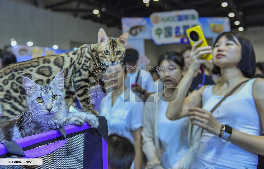 Nanning Pet Expo