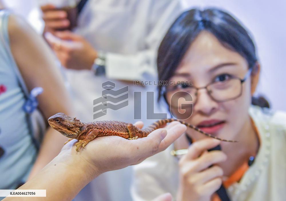 Nanning Pet Expo