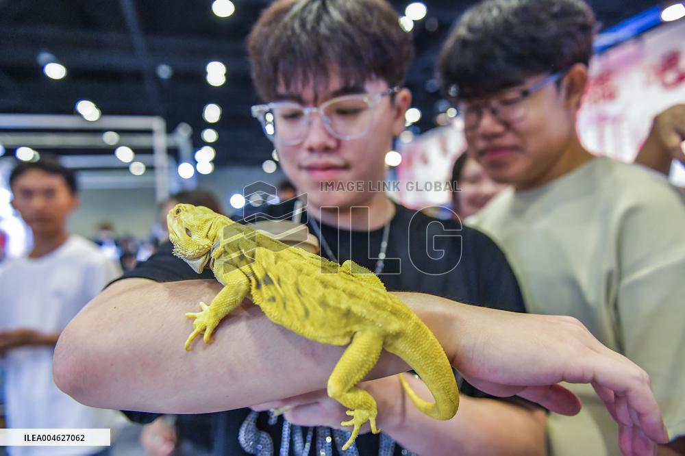 Nanning Pet Expo