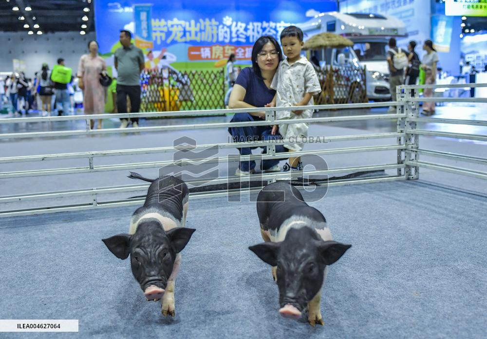 Nanning Pet Expo