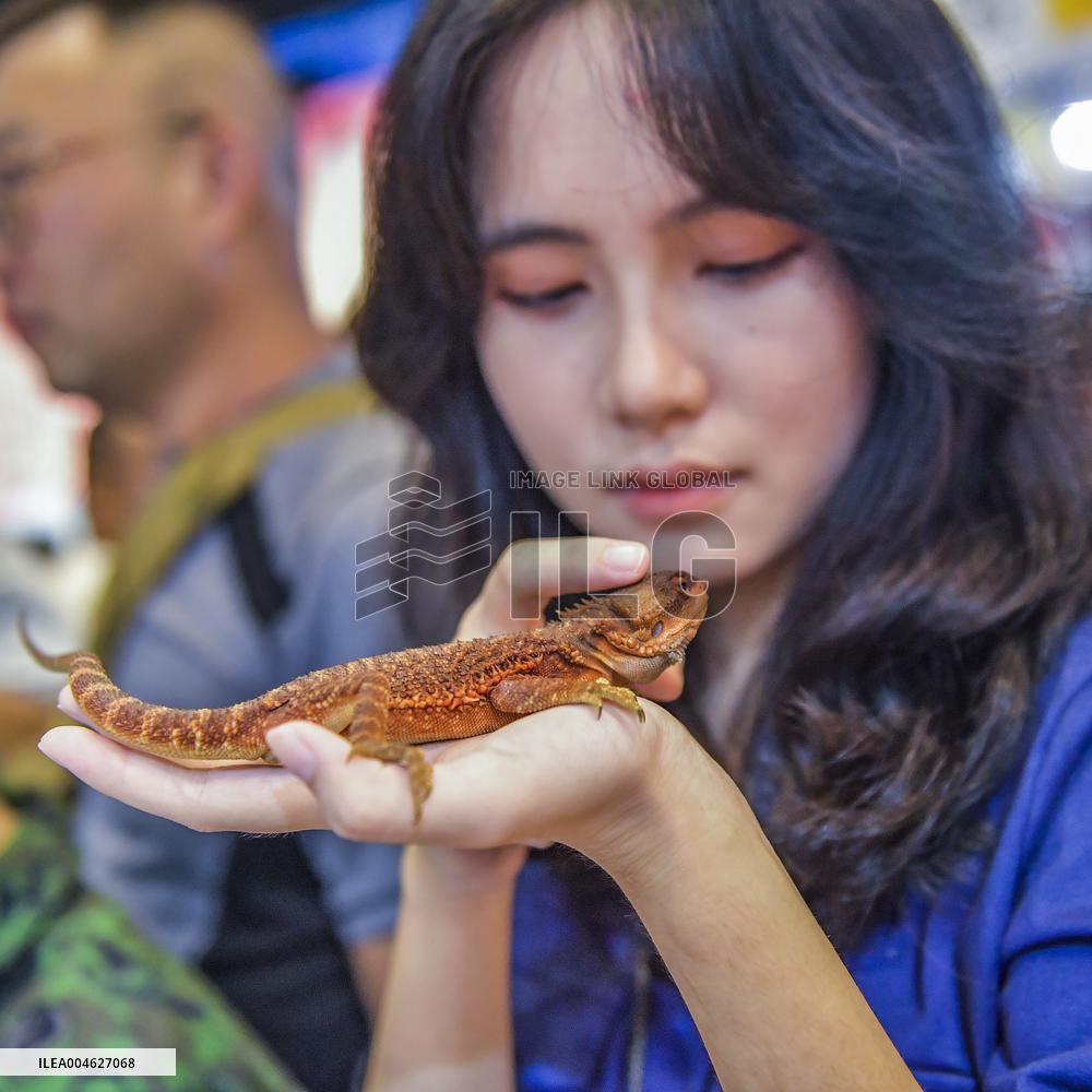 Nanning Pet Expo