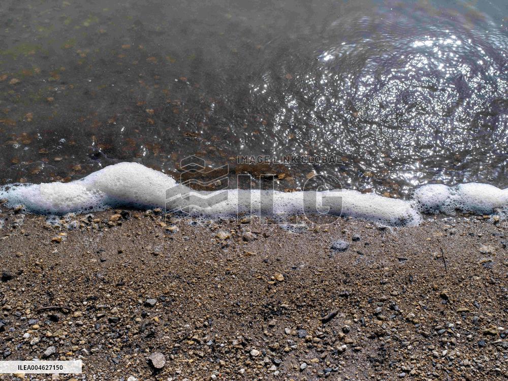 Cyanobacteria Suspected At The Lac de Pareloup - Aveyron