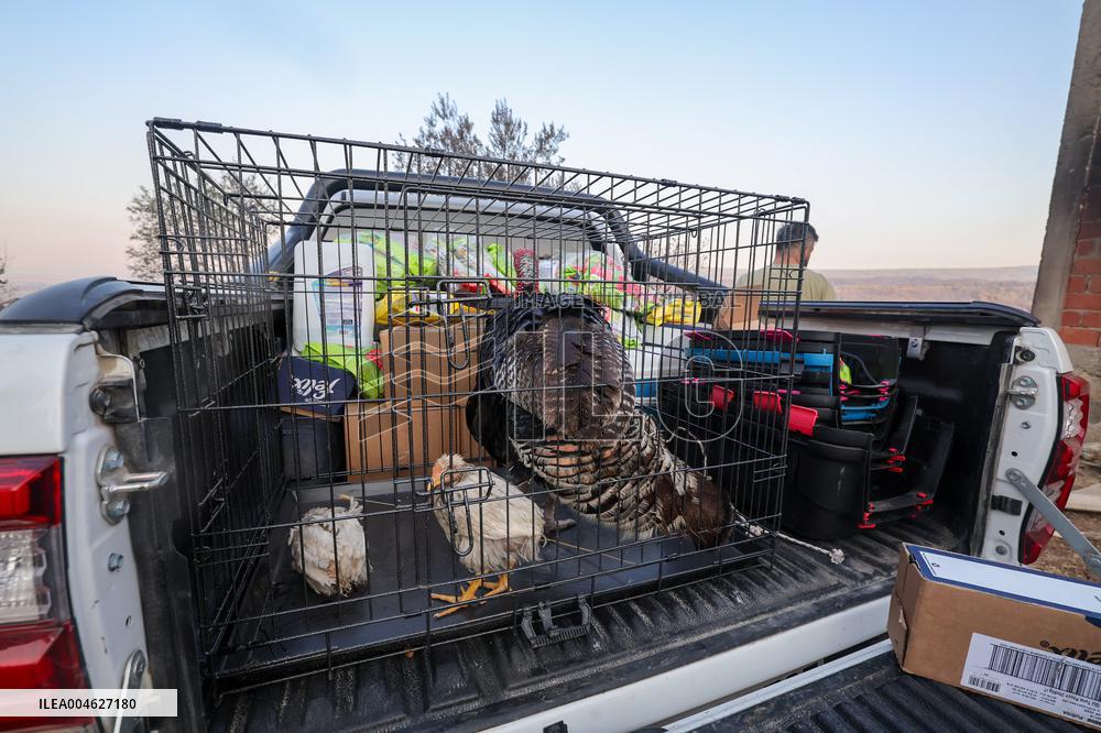 Wildfires in Canakkale - Turkey